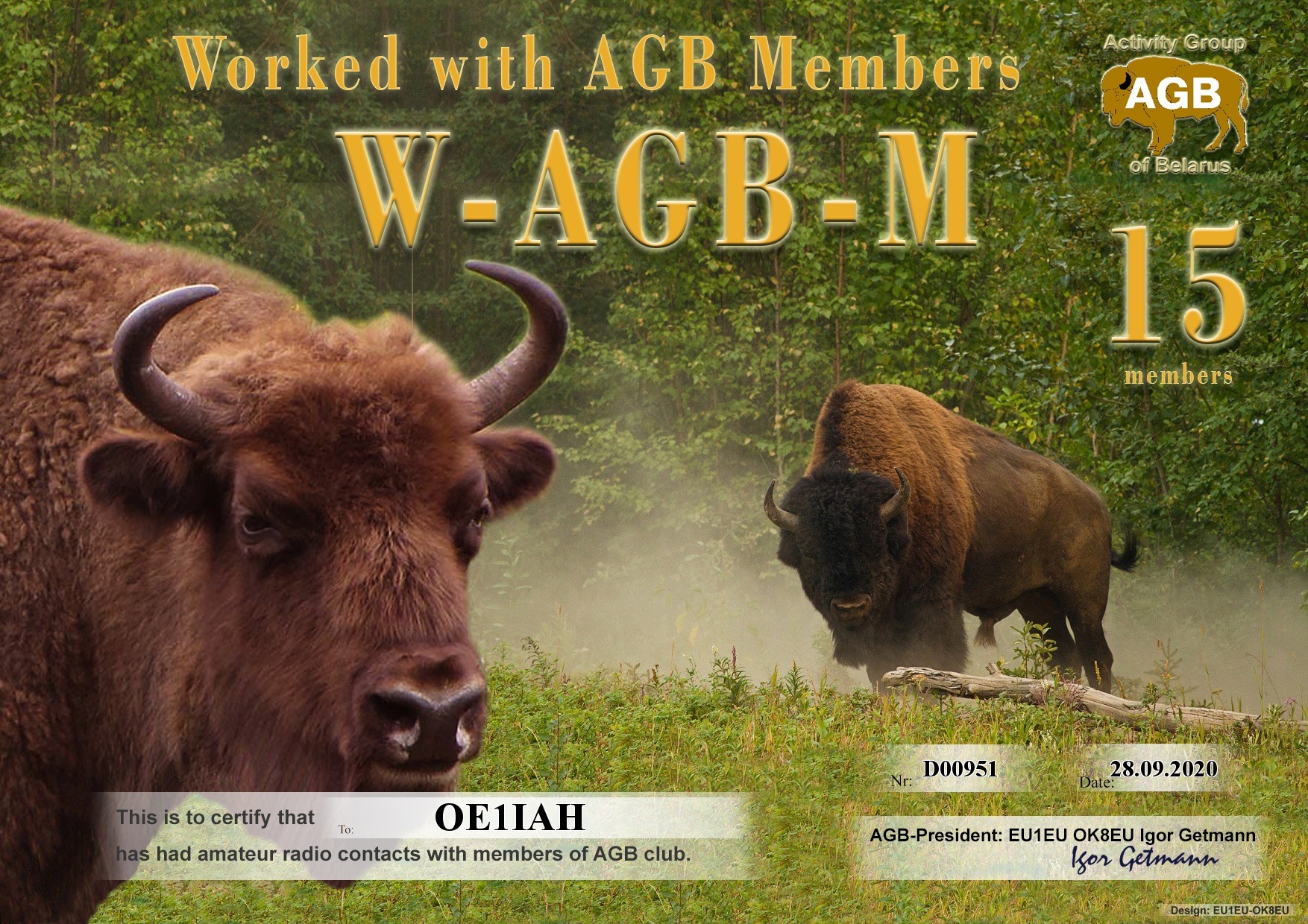 WAGBM-15