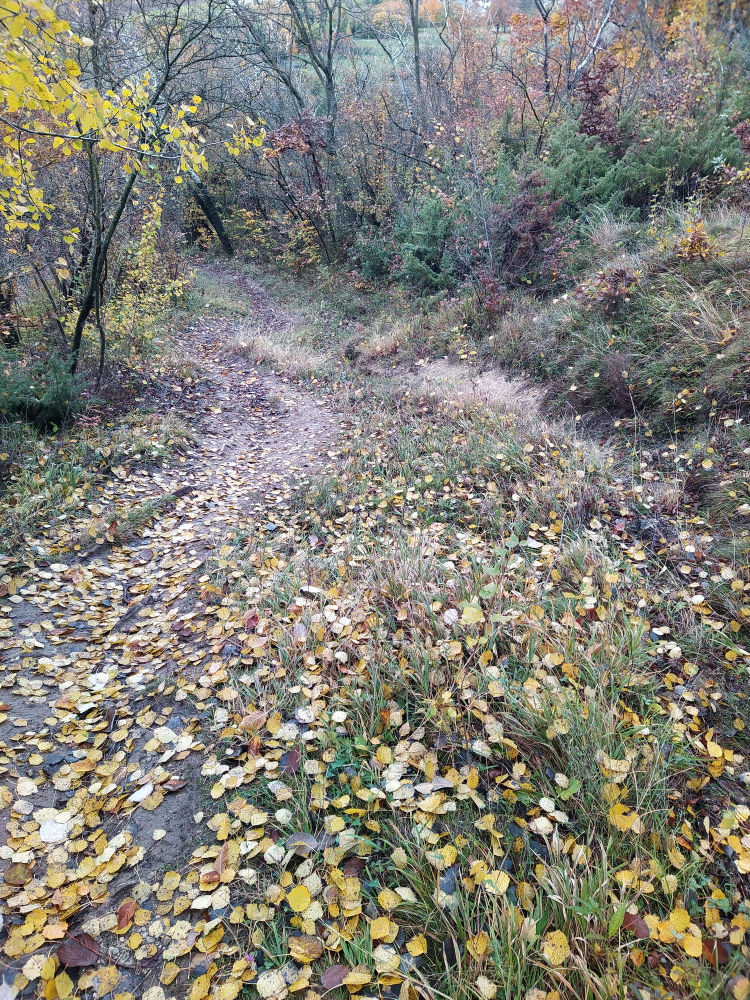 Weg