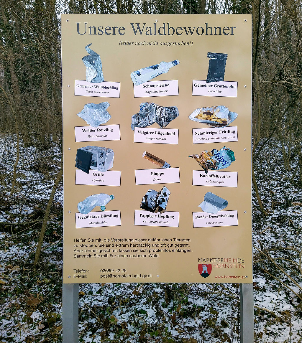 Schild