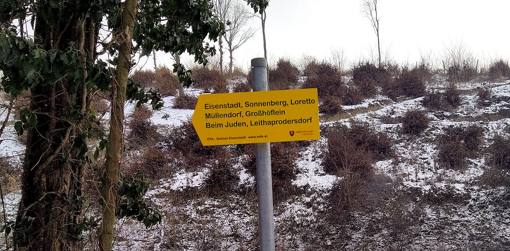 Schild