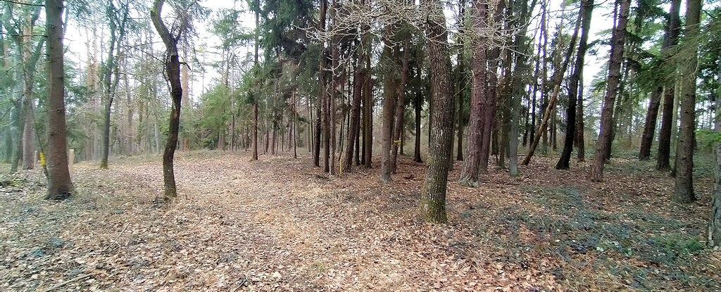 Fohraberg