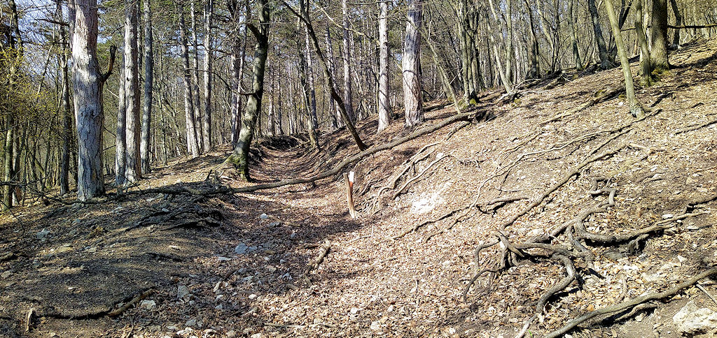 Aufstieg