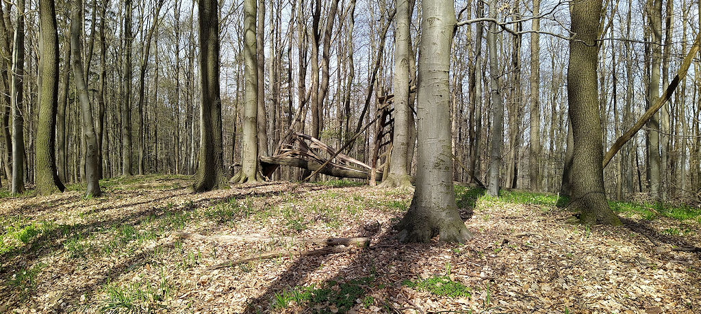 Aufstieg