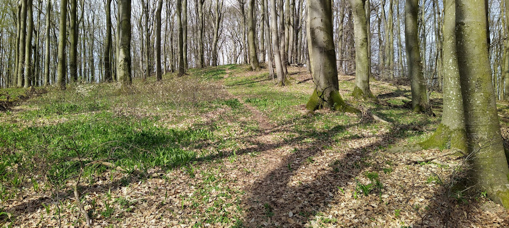 Aufstieg
