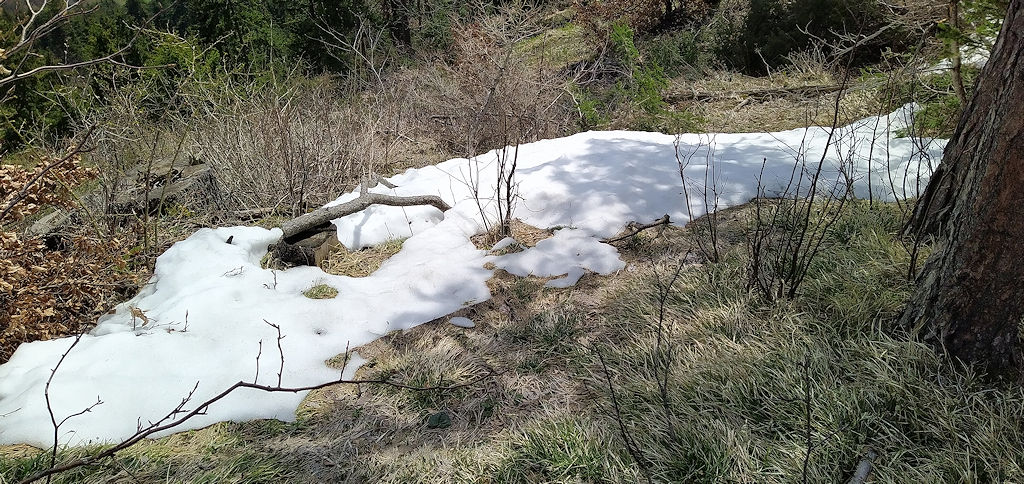 Schnee