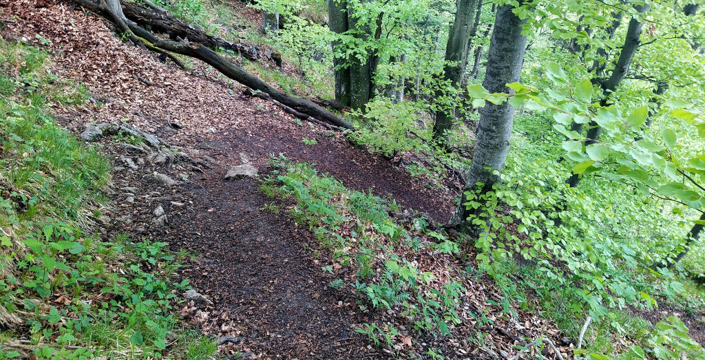 Weg