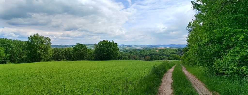 Weg