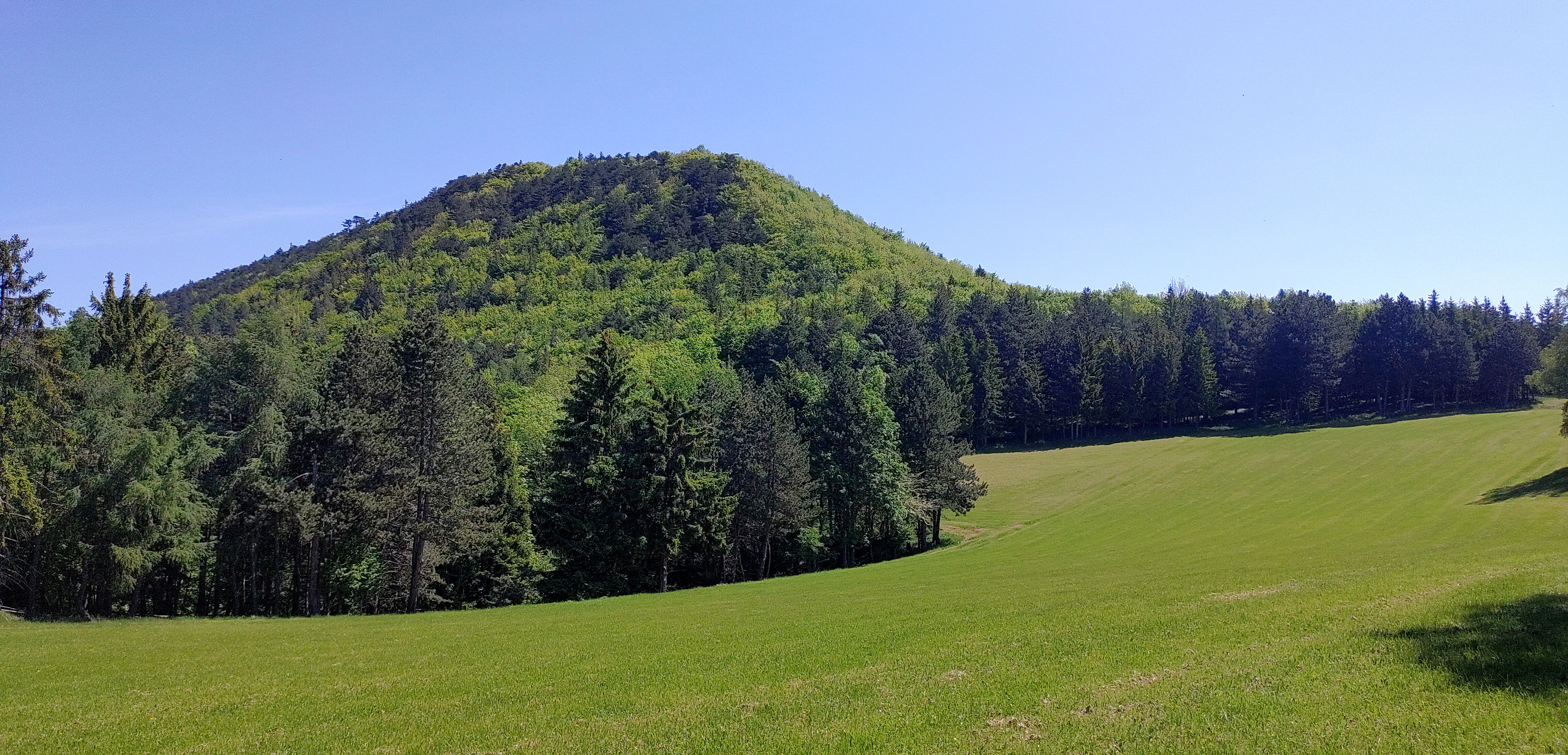 Hochwald