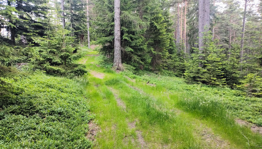 Karte