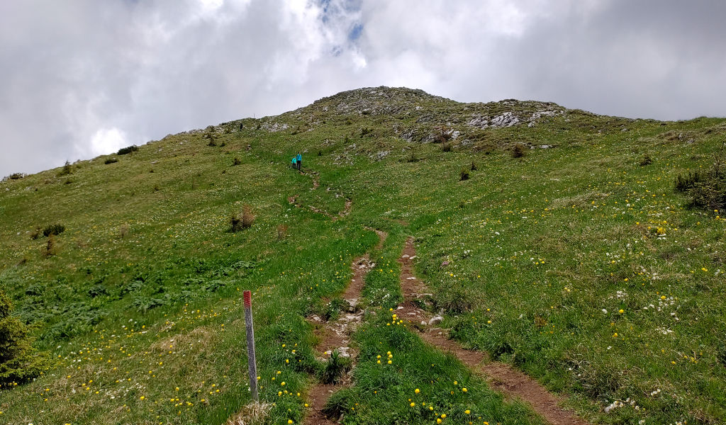 Weg
