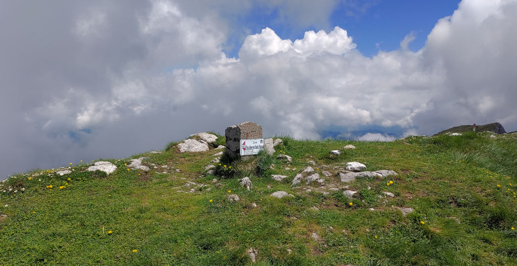 Turm