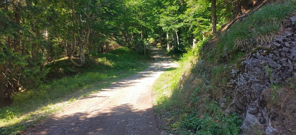 Weg 