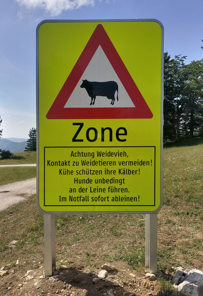 Schild
