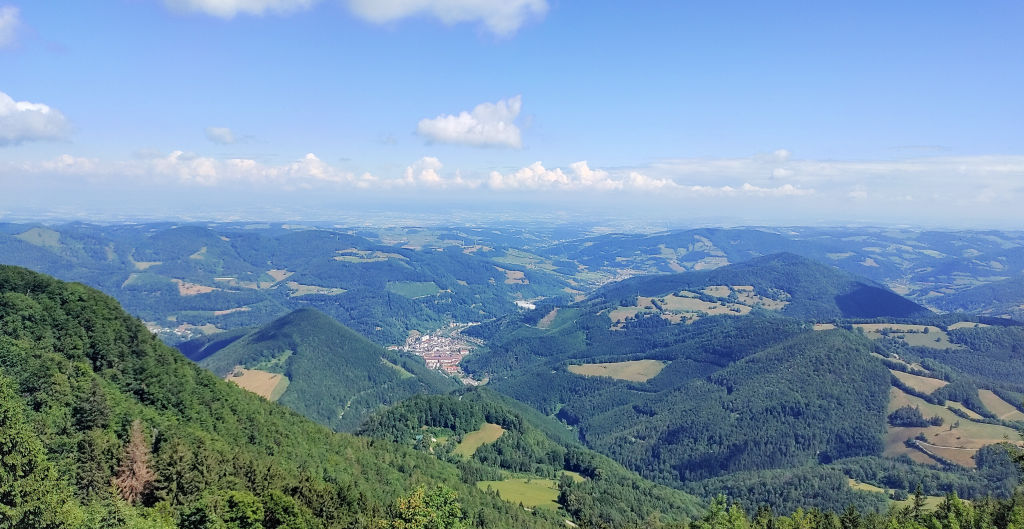 Wald 