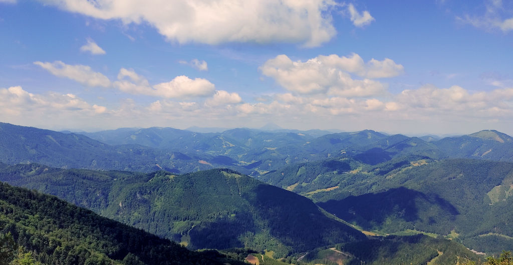 Wald 