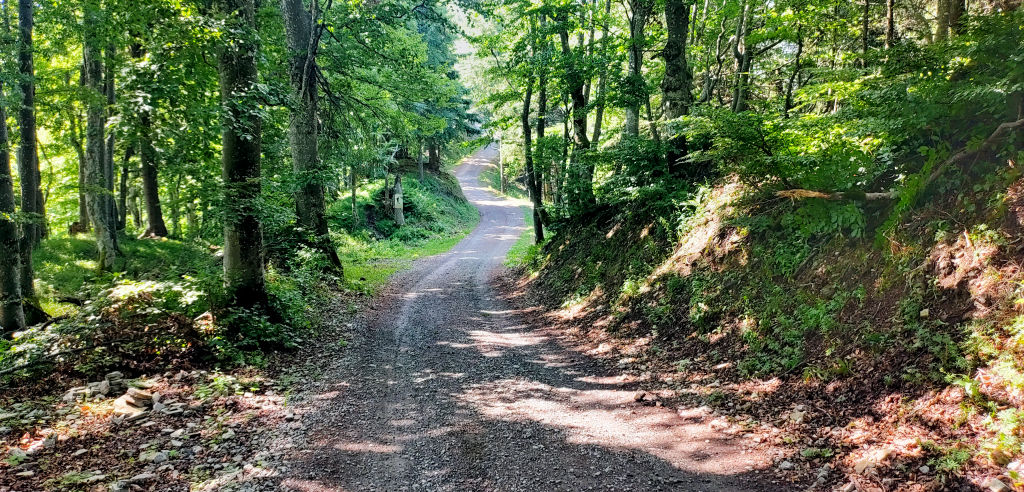Wanderweg 
