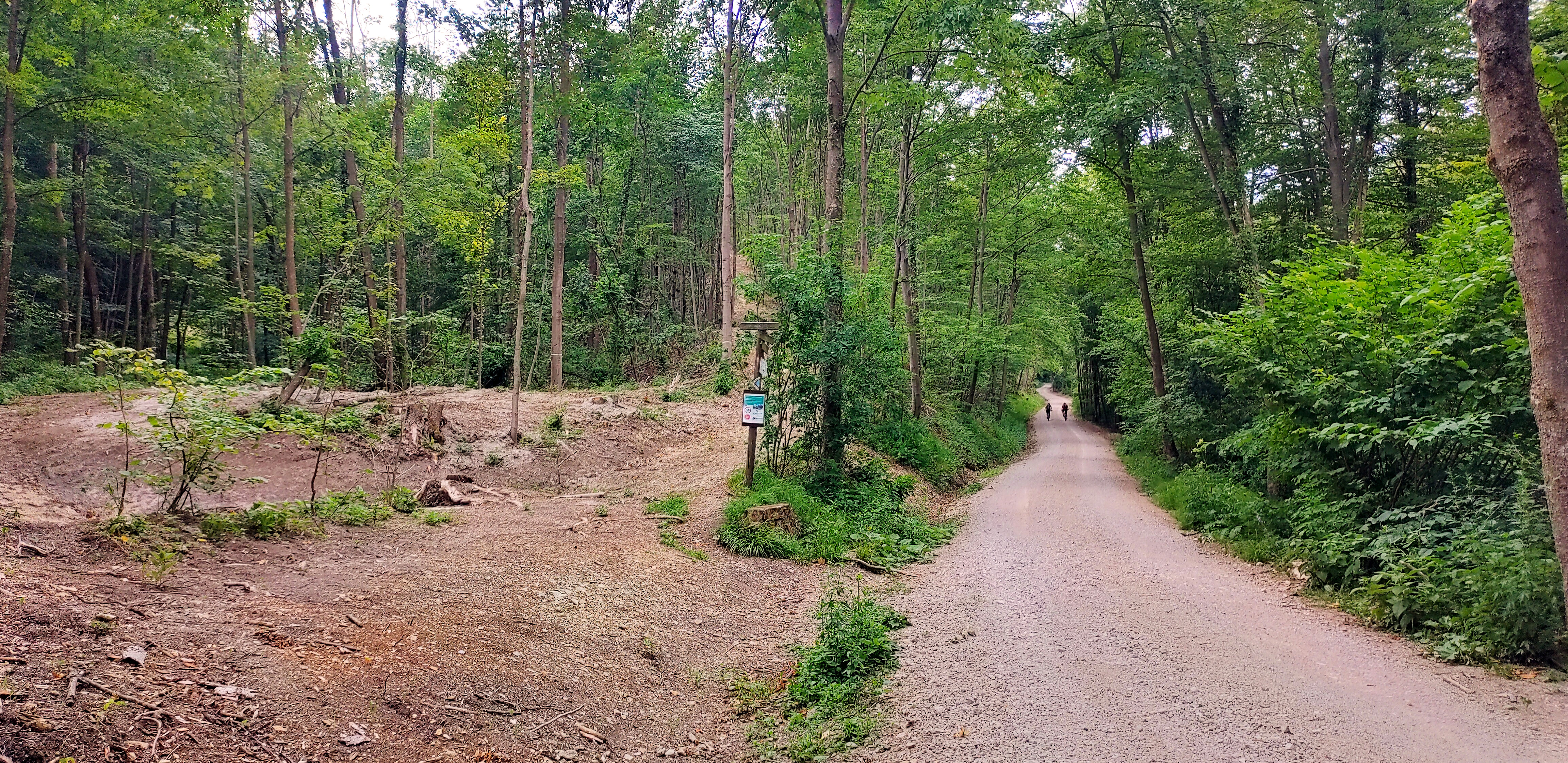 Forstweg