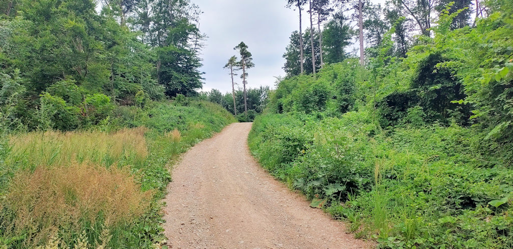 Wanderweg 