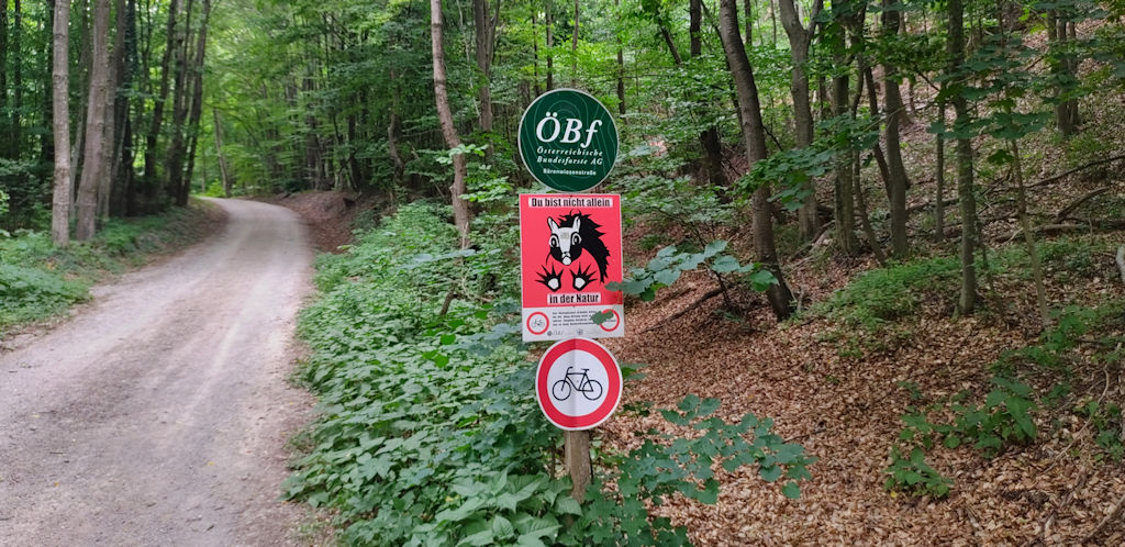 Wald 