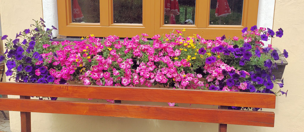 Blumen