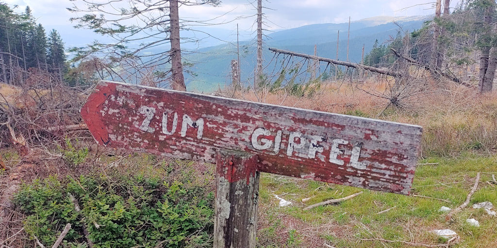 Windbruch 