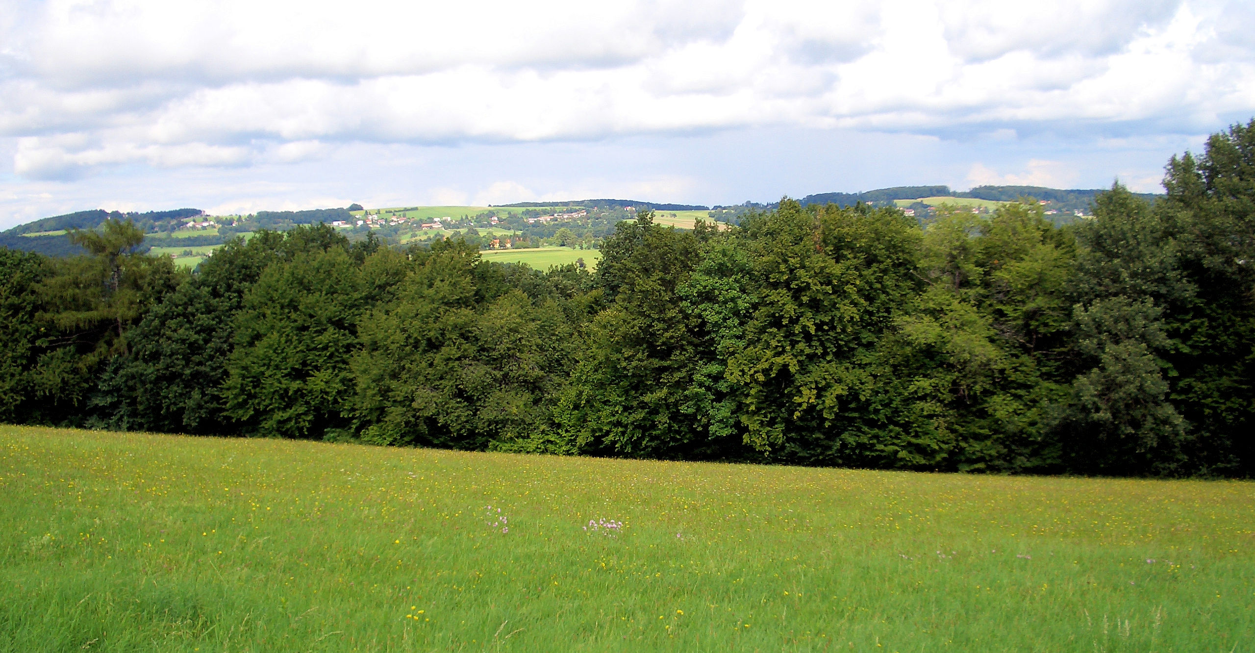 Fielddaywiese