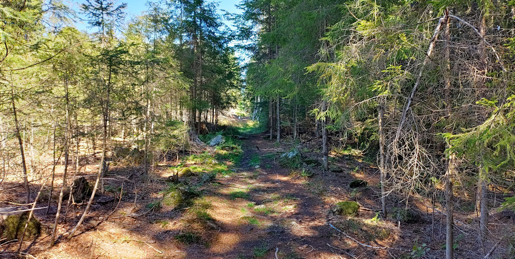 Weg