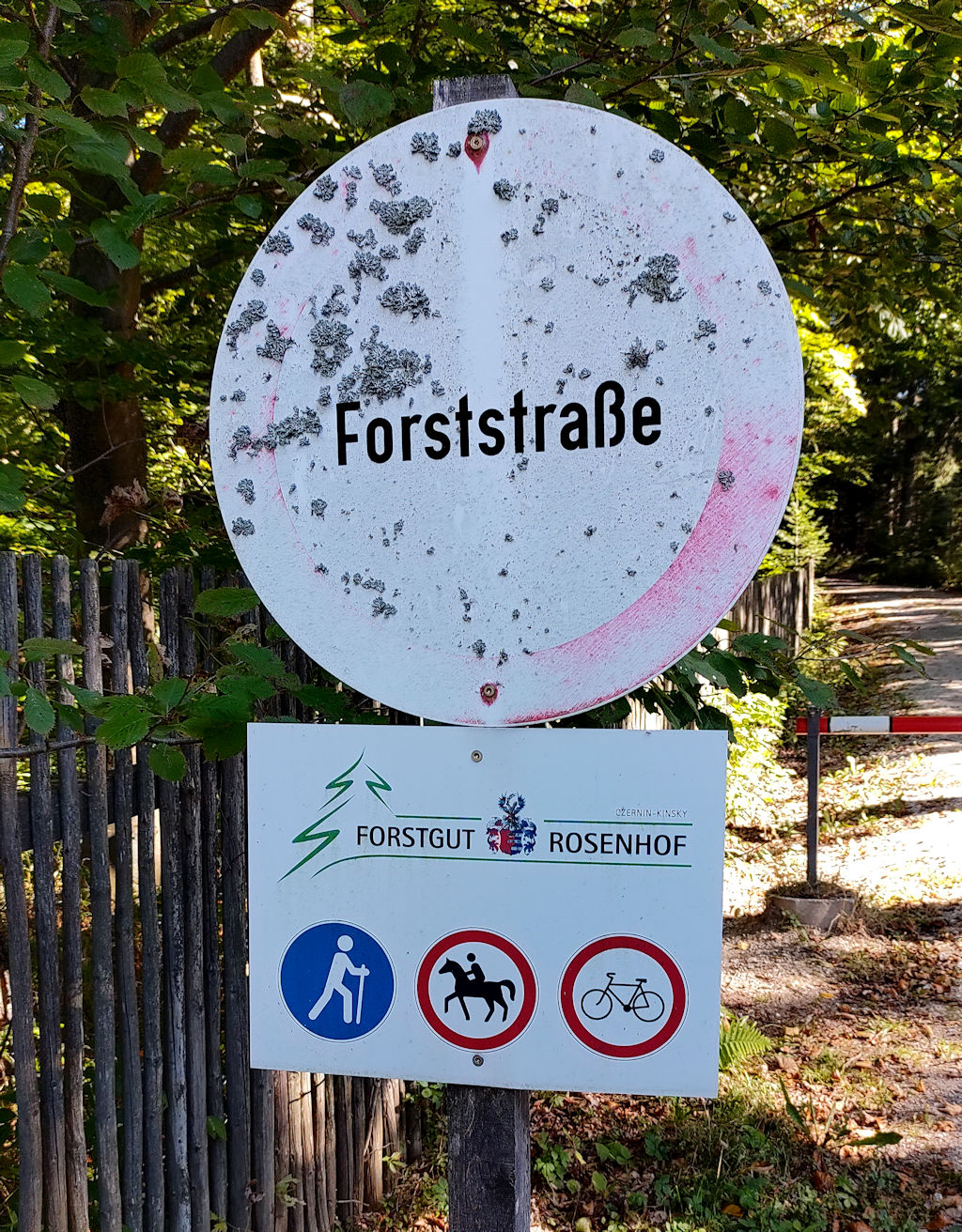 Schild