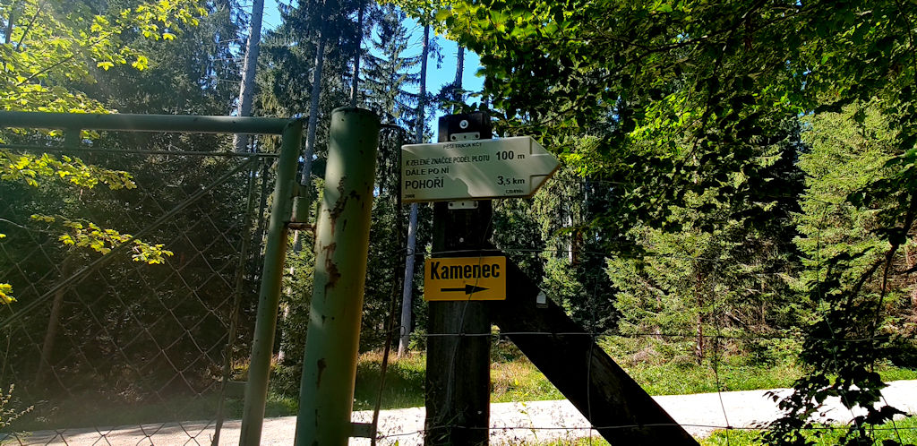 Ameisen