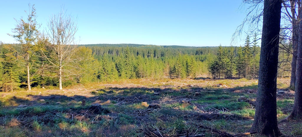 Weitblick