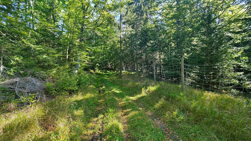Weg