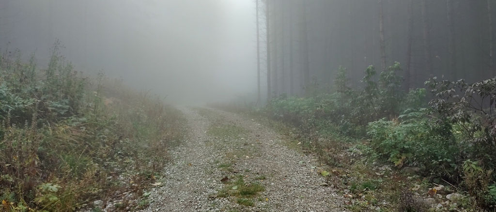 Weg