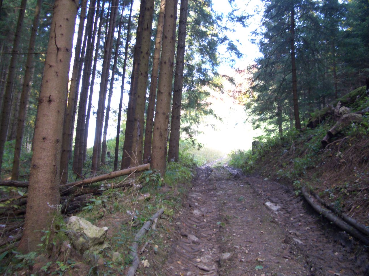 Weg