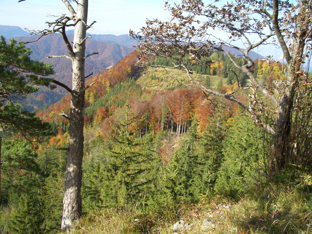 BlicknachNW