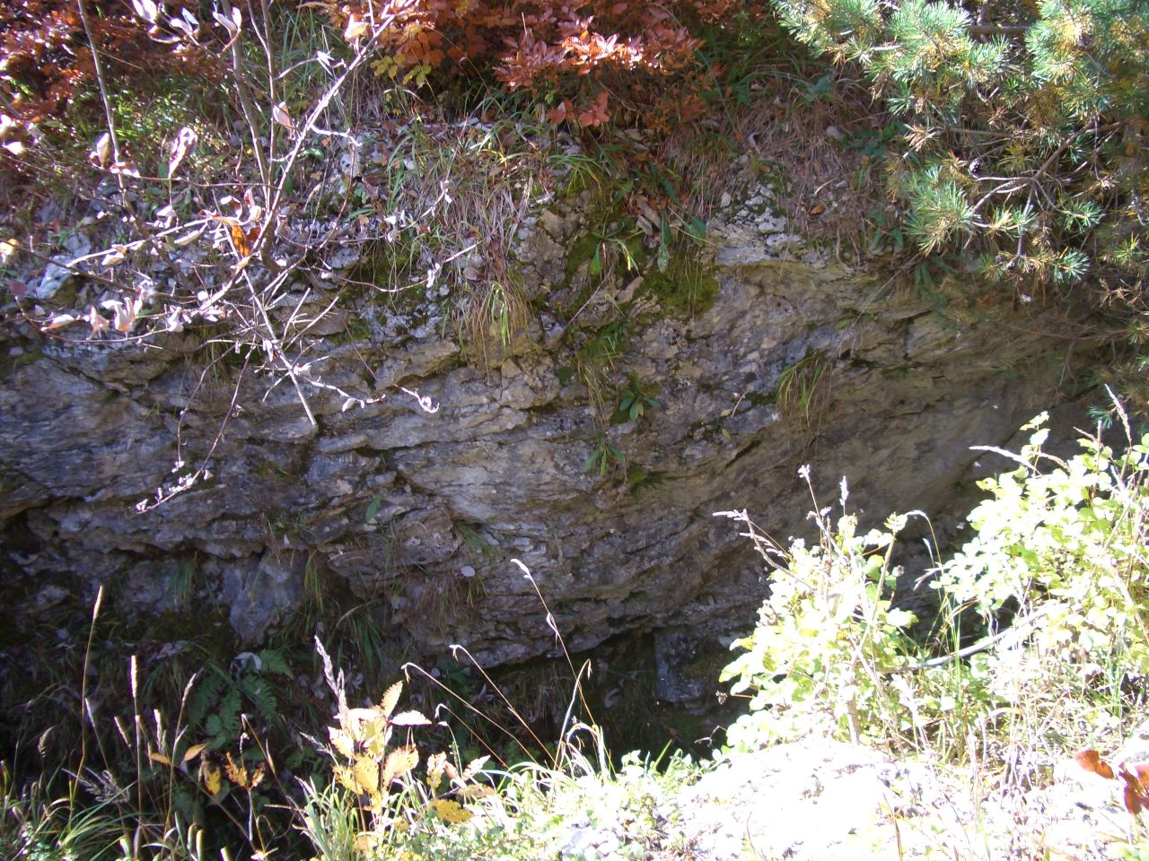 Schlucht