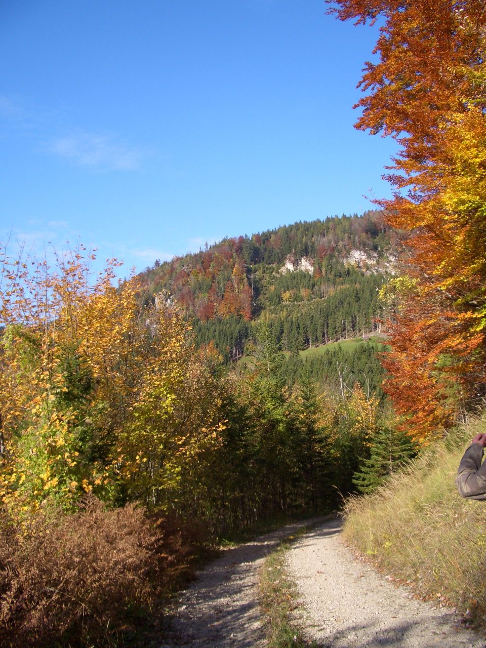 Reichenwaldbergvonunten