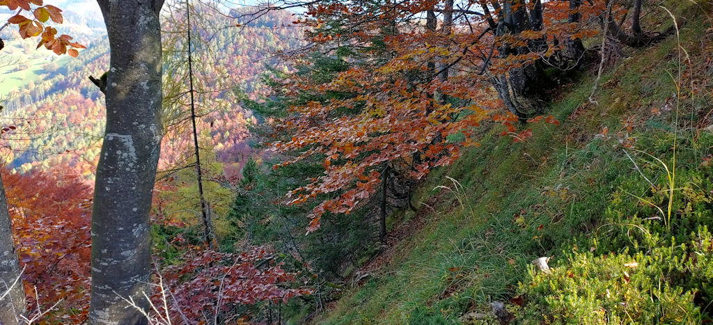 Berghang