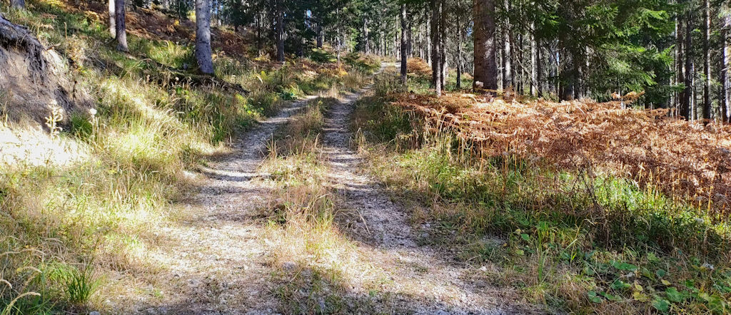 Forstweg