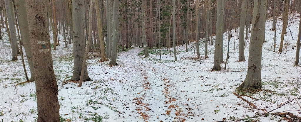 Weg