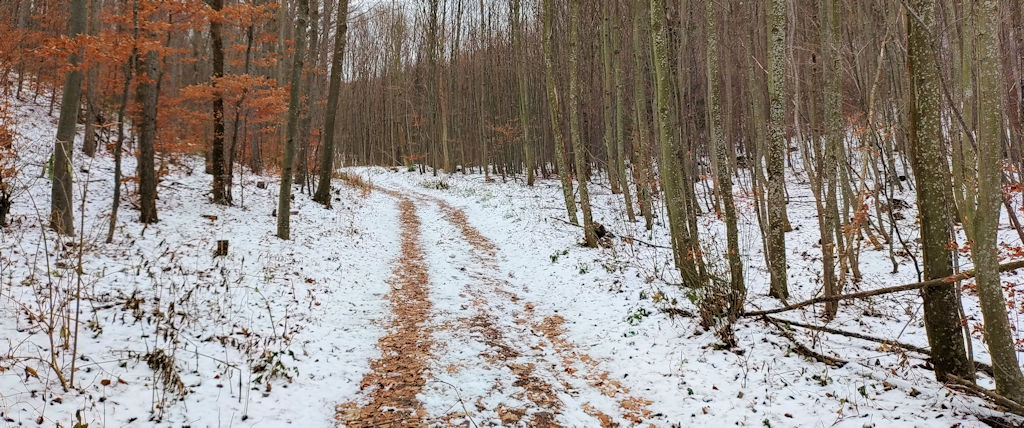 Waldweg