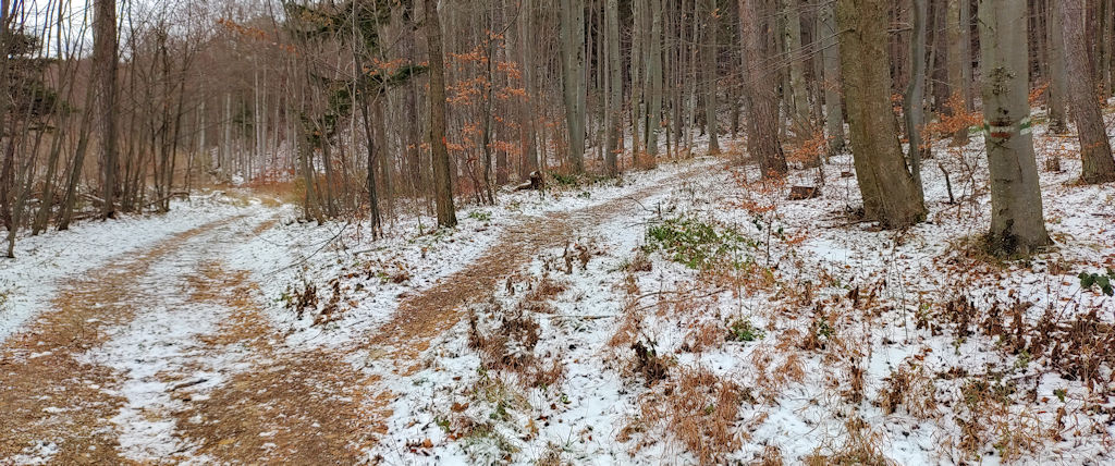 Waldweg