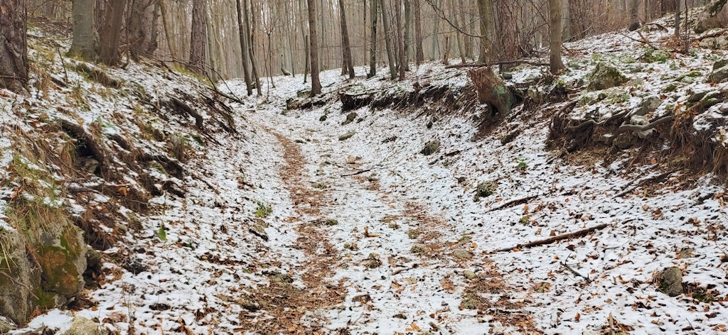 Waldweg