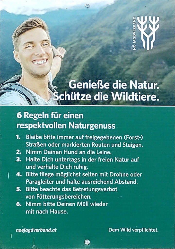 Schild