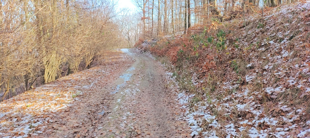 Forststraße