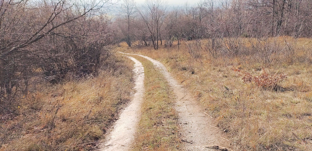 Feldweg