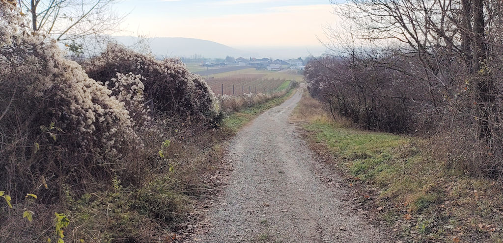 Feldweg