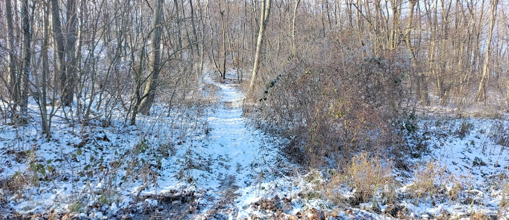 Waldweg