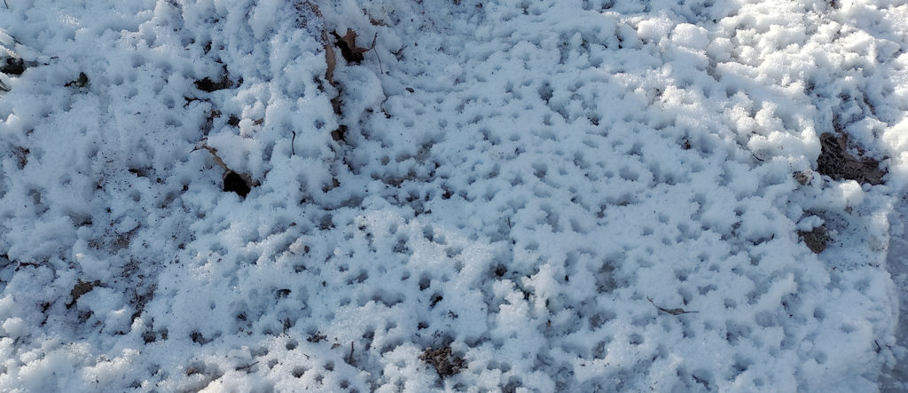Schnee