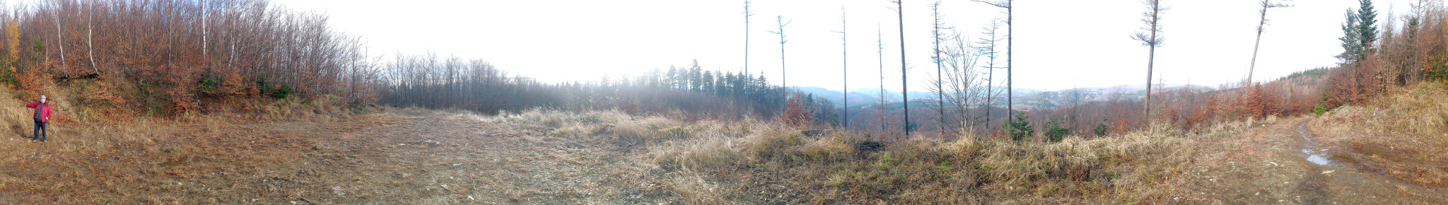 Panorama