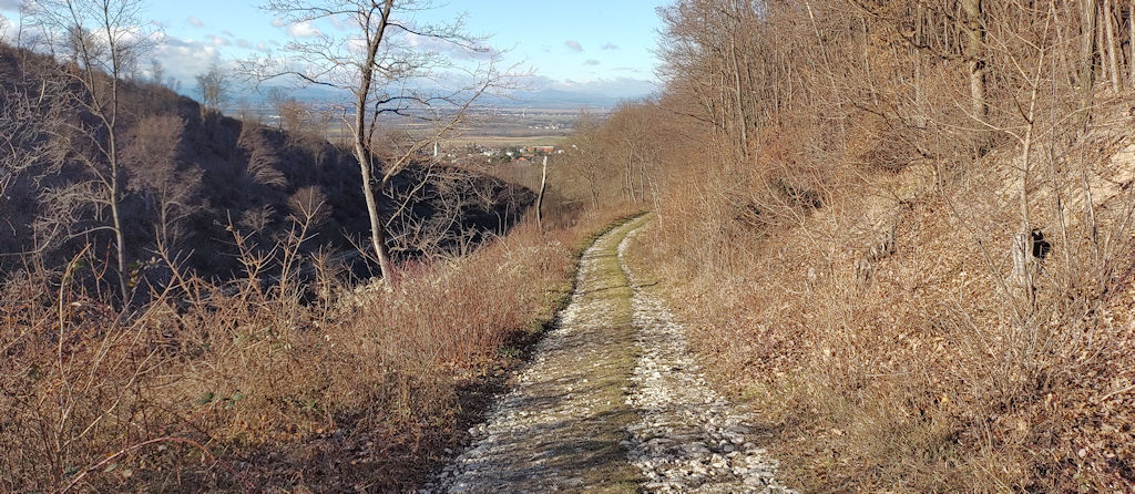 Weg zurück